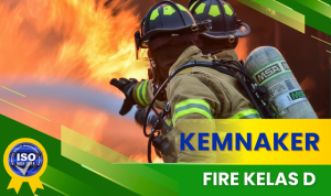FIRE KELAS D